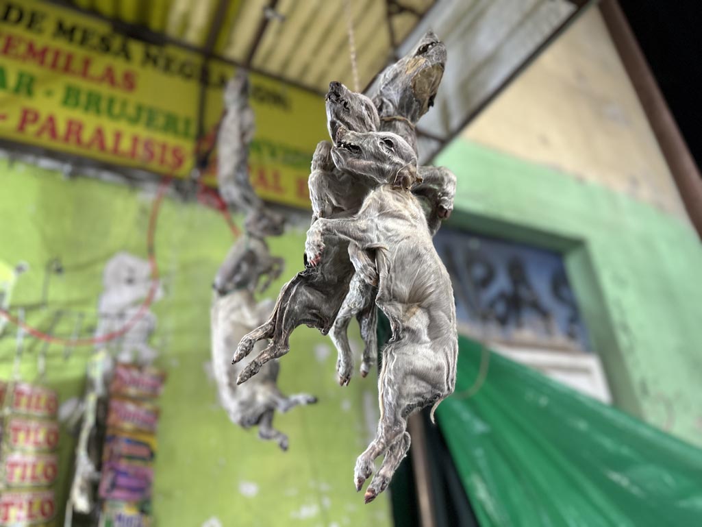 Mercado de las Brujas