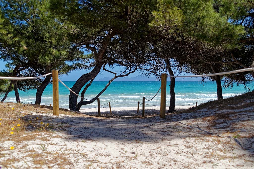 Het strand op Mallorca, van Alcúdia