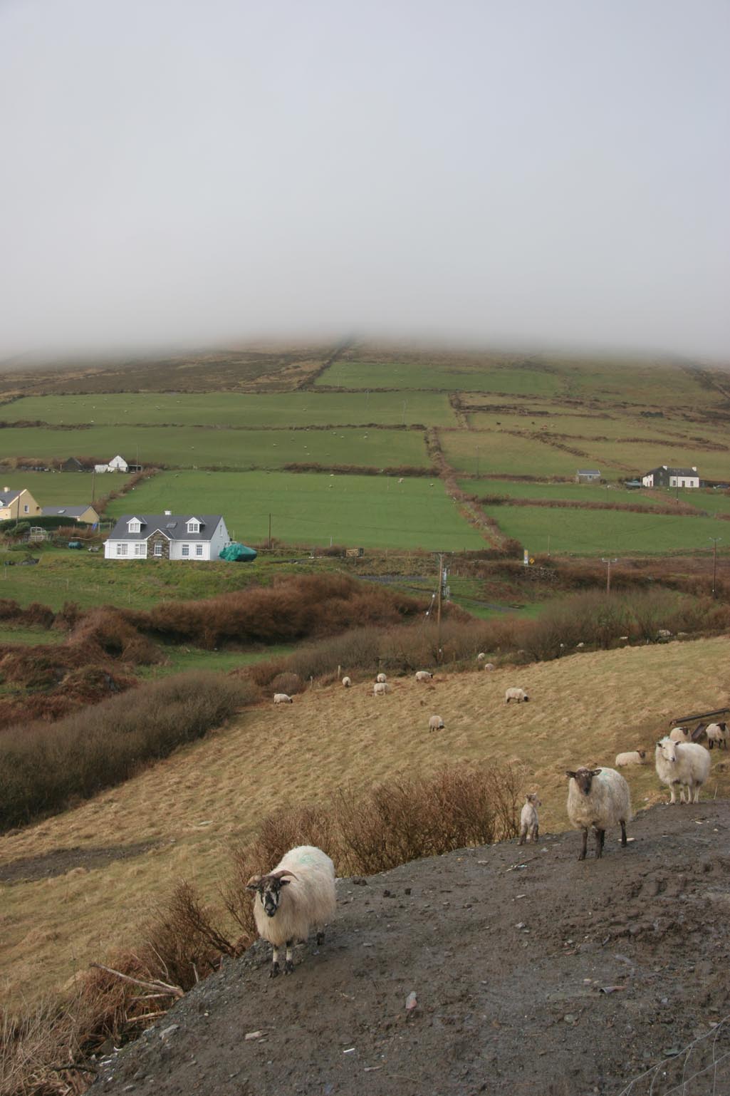 Connemara in Ierland