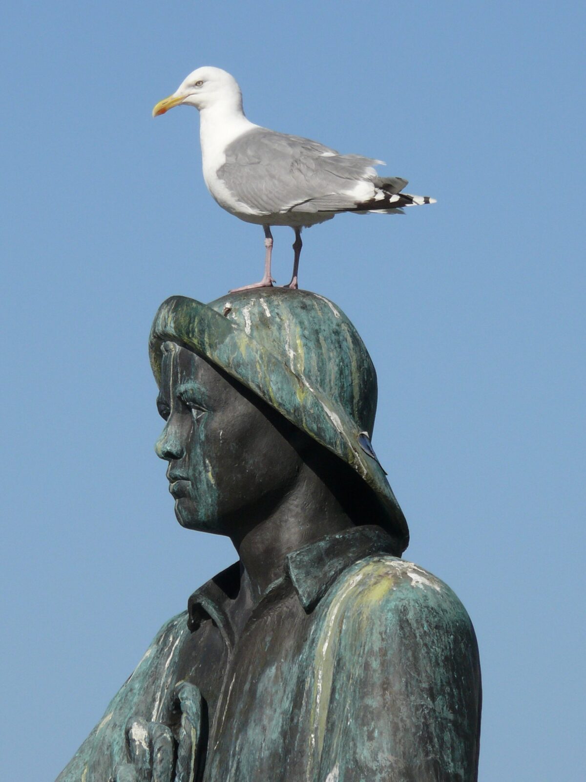Martin Fuchs