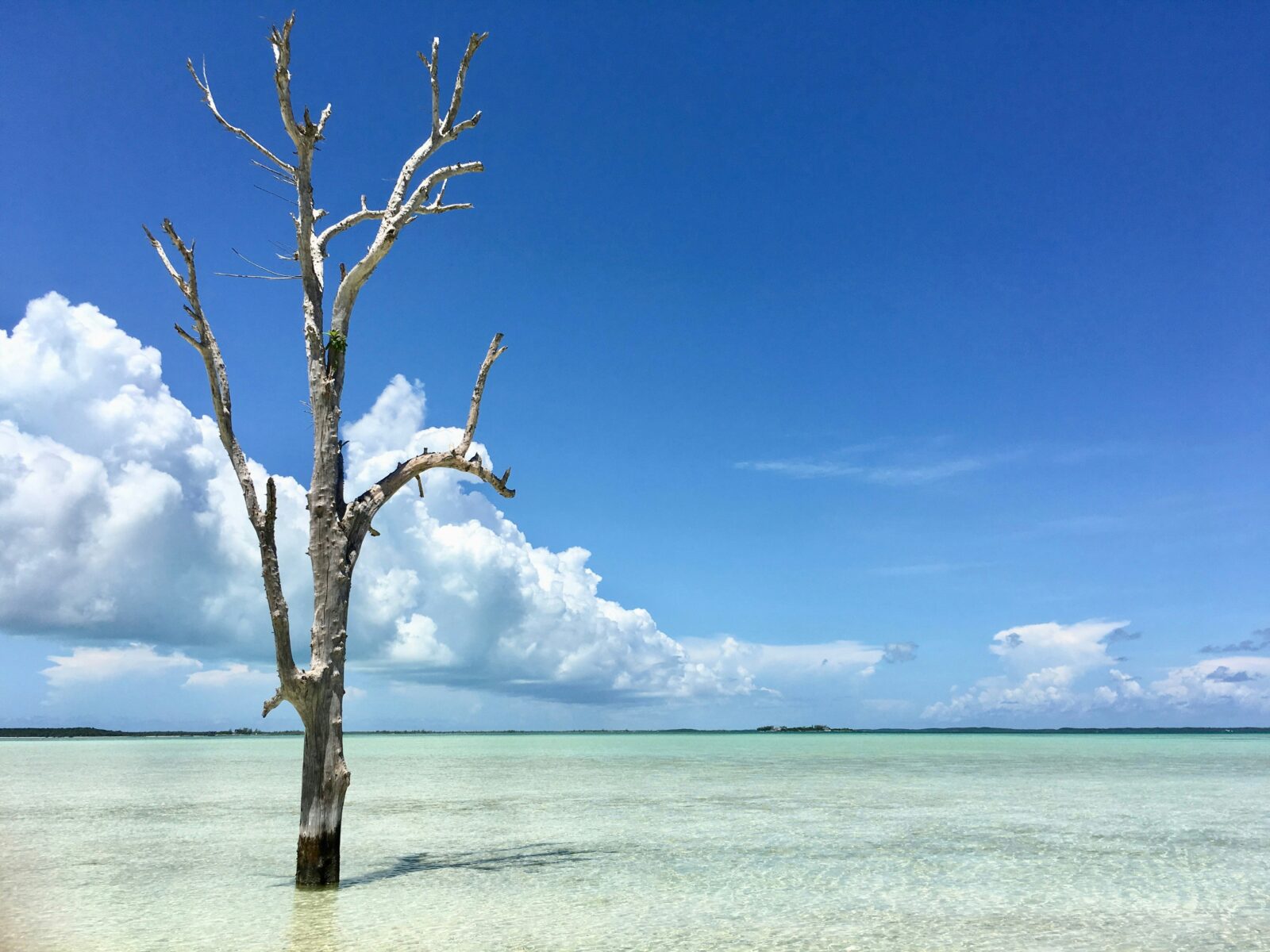 Harbour Island