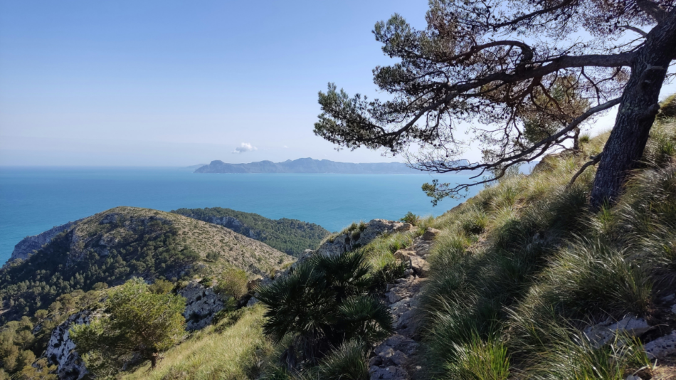 Foto: Unsplash
