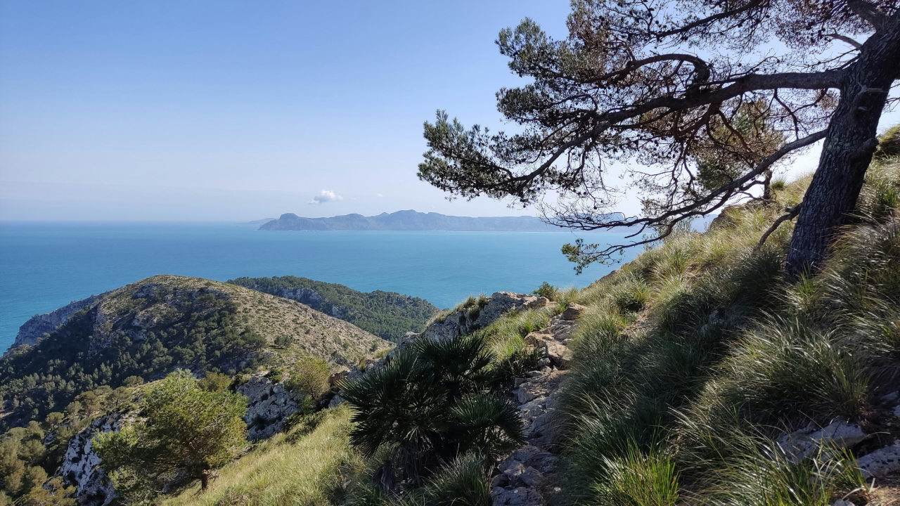 Foto: Unsplash