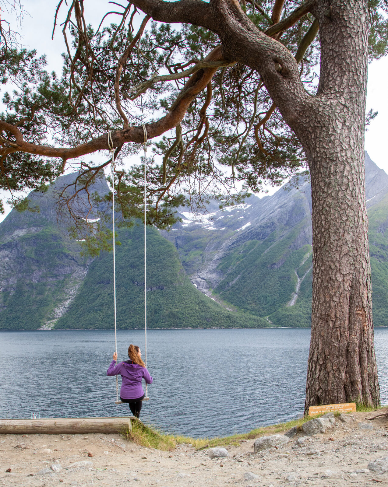 Swing