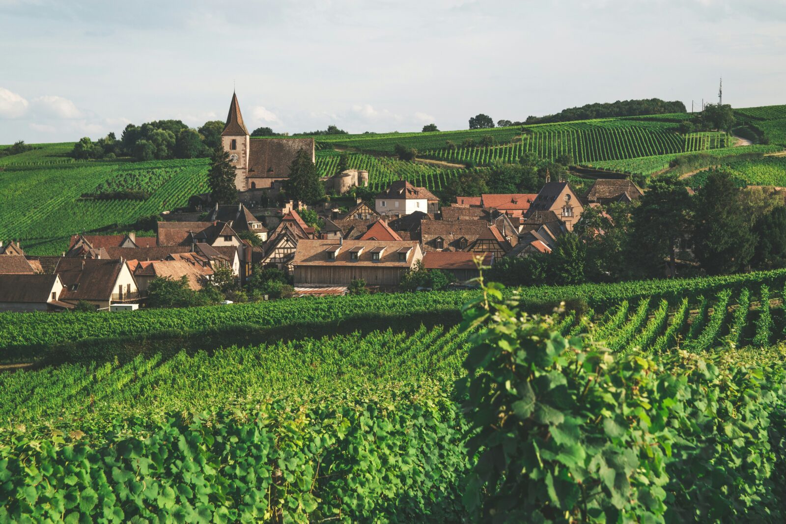Foto: Unsplash