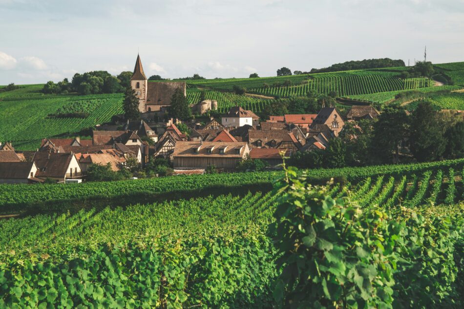 Foto: Unsplash