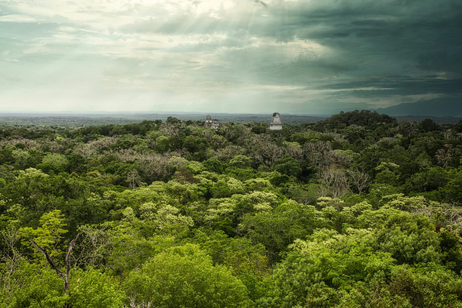 Tikal