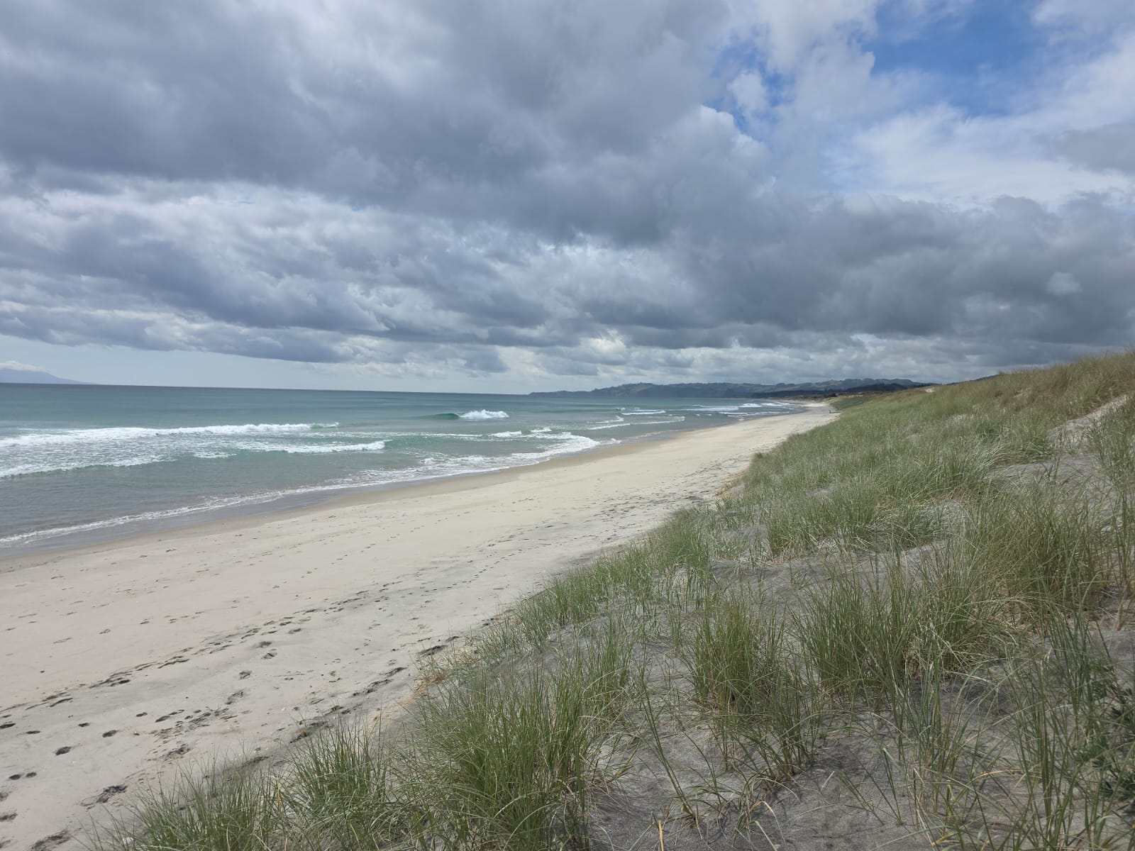 Forestry beach