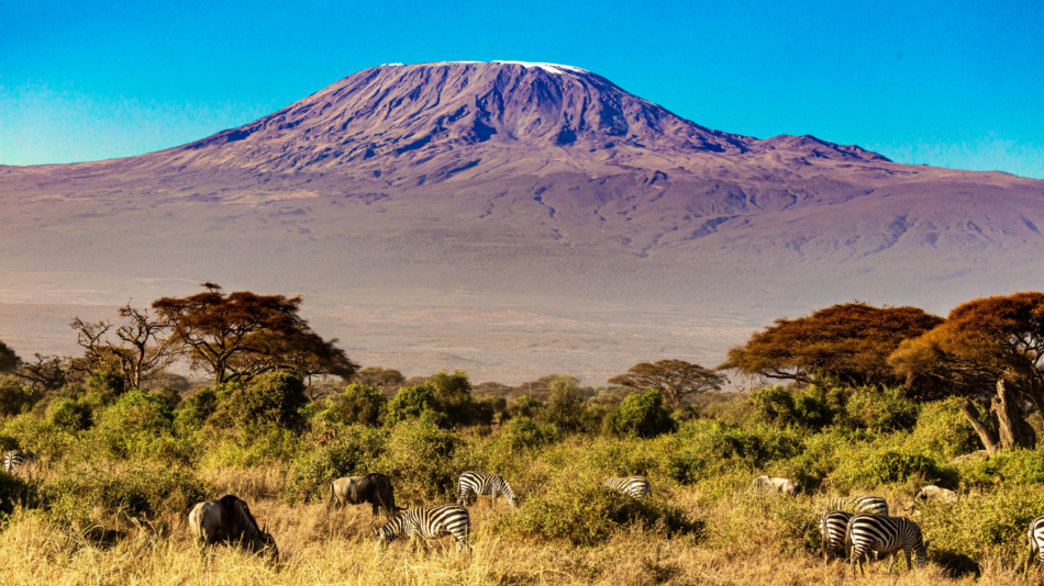 Kilimanjaro