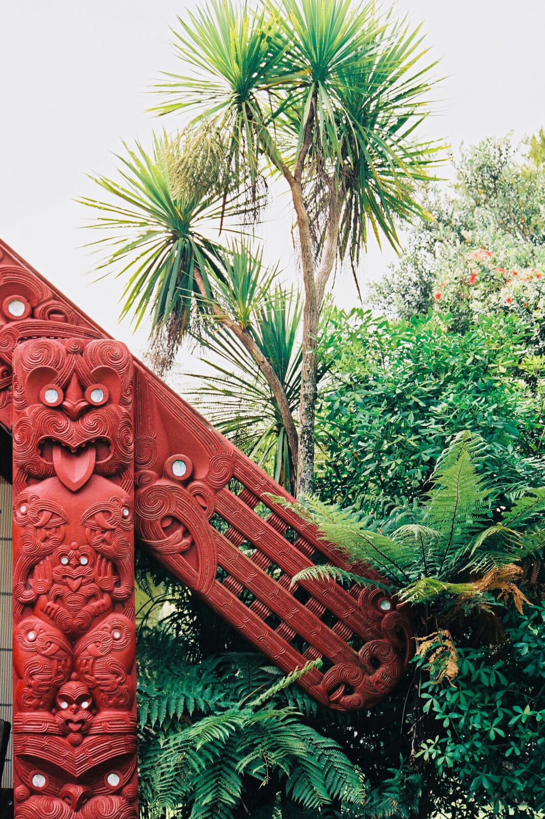 Maori