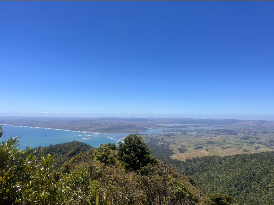 Mount Karioi Hike