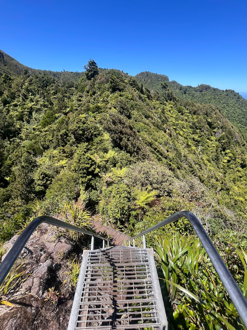 Mount Karioi Hike