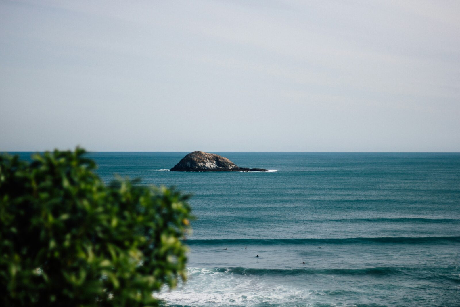 Muriwai
