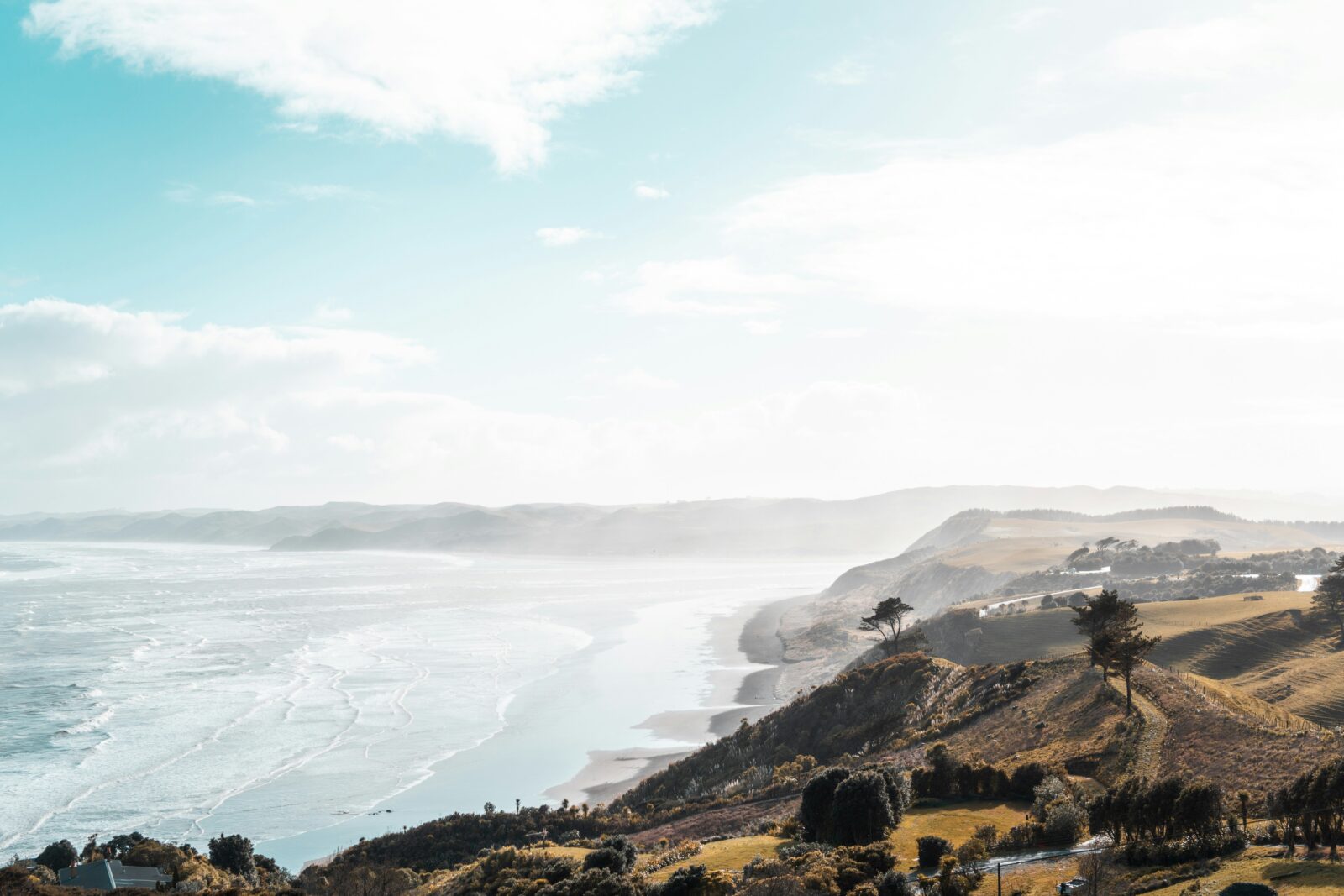 Raglan