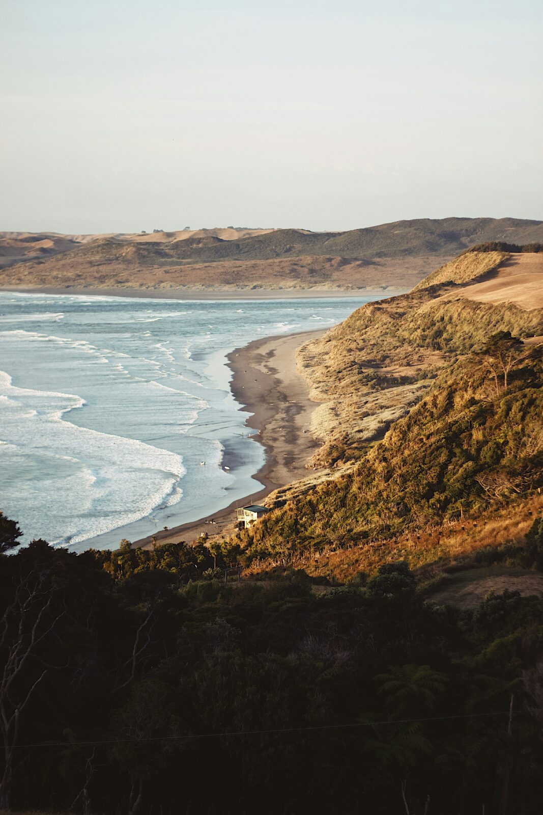 Raglan
