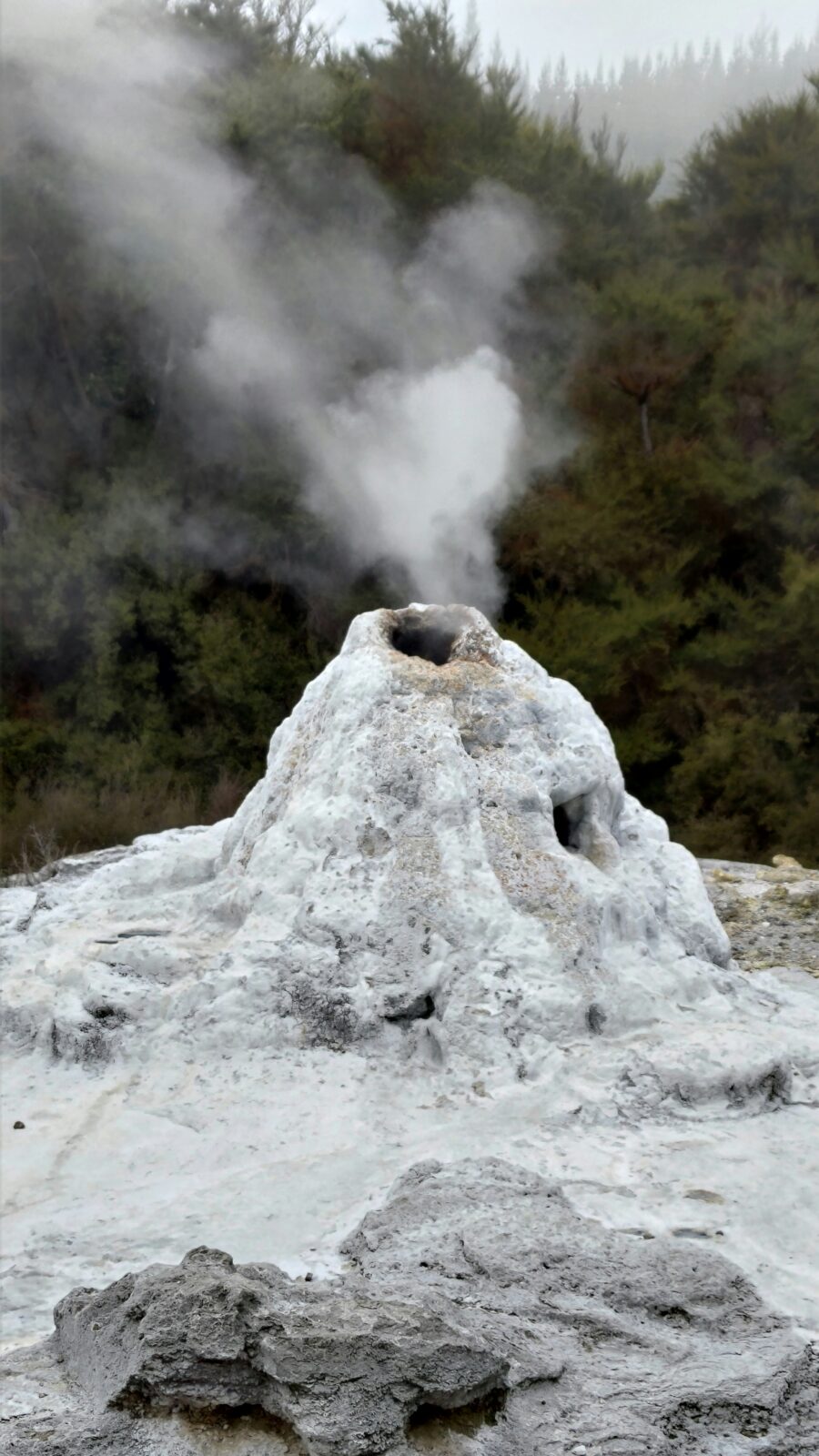 Rotorua