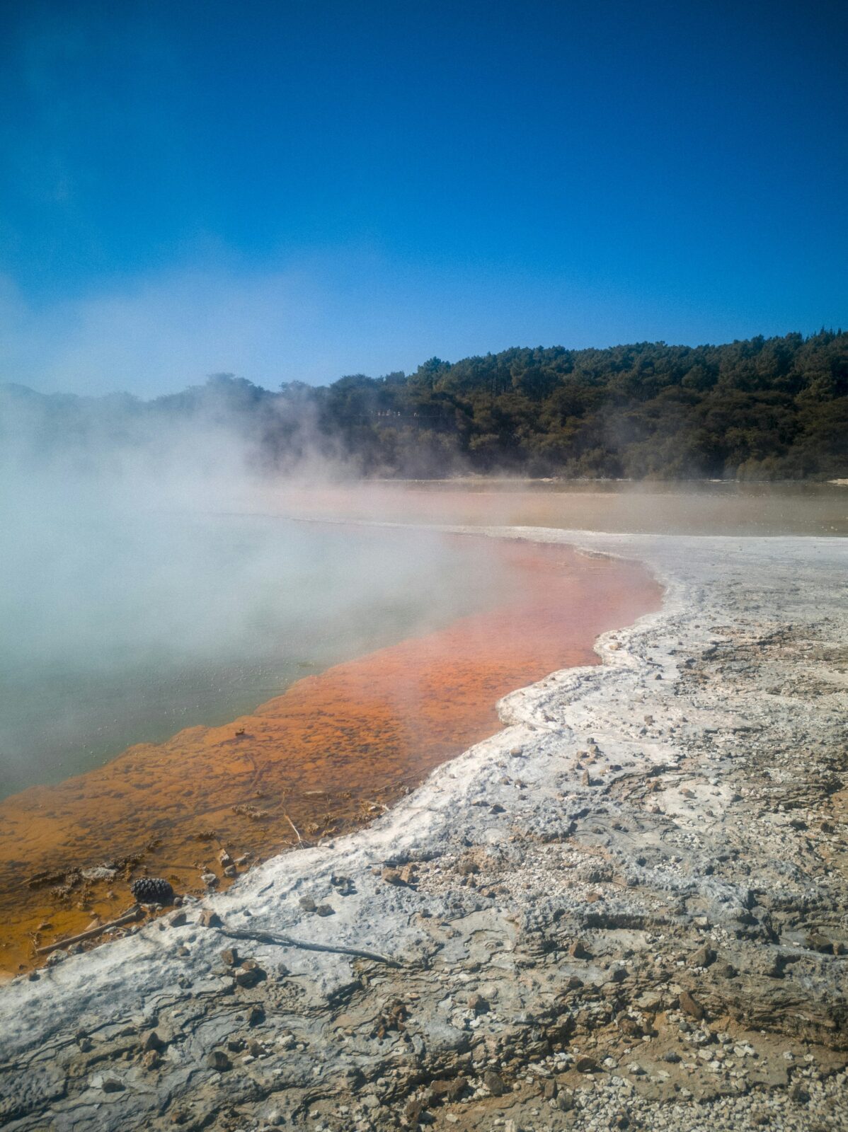 Rotorua