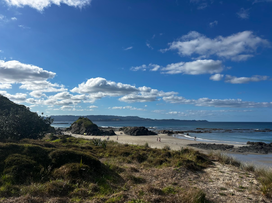 Tawharanui Regional Park