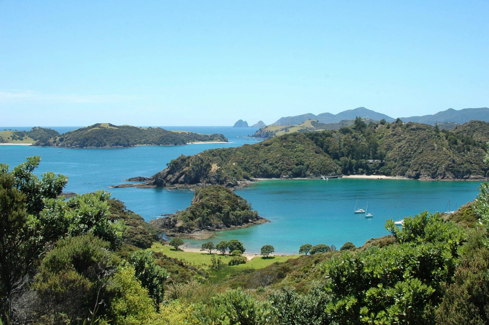 Bay of islands