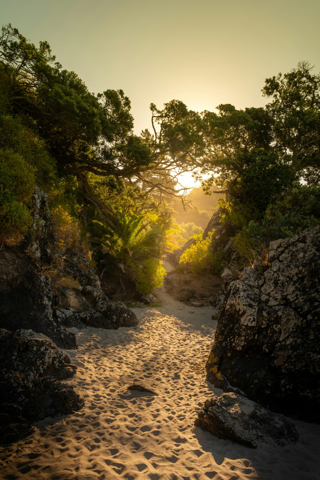 Waiheke