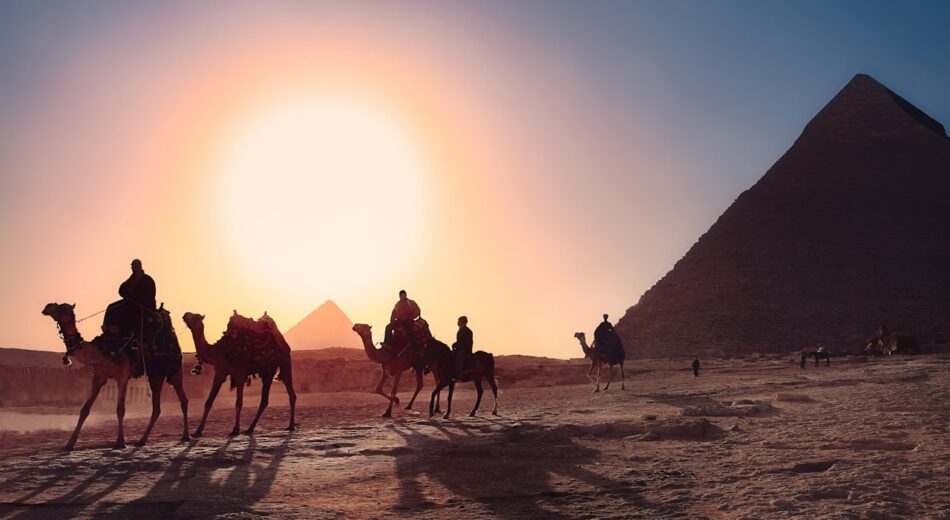 Egypte kamelen piramide