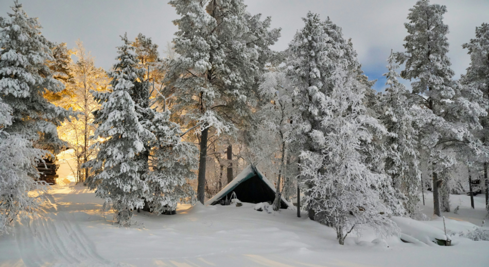 Lapland