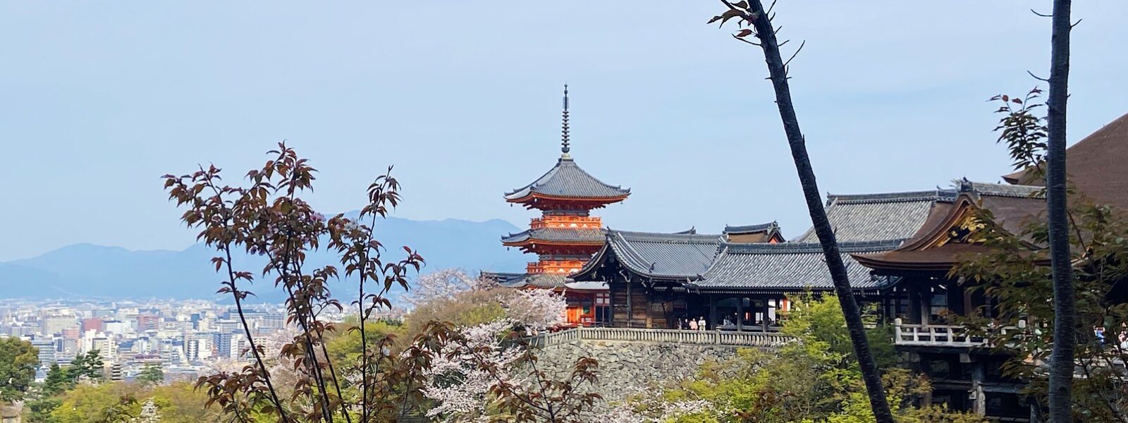 Tempels in Kyoto bezoeken