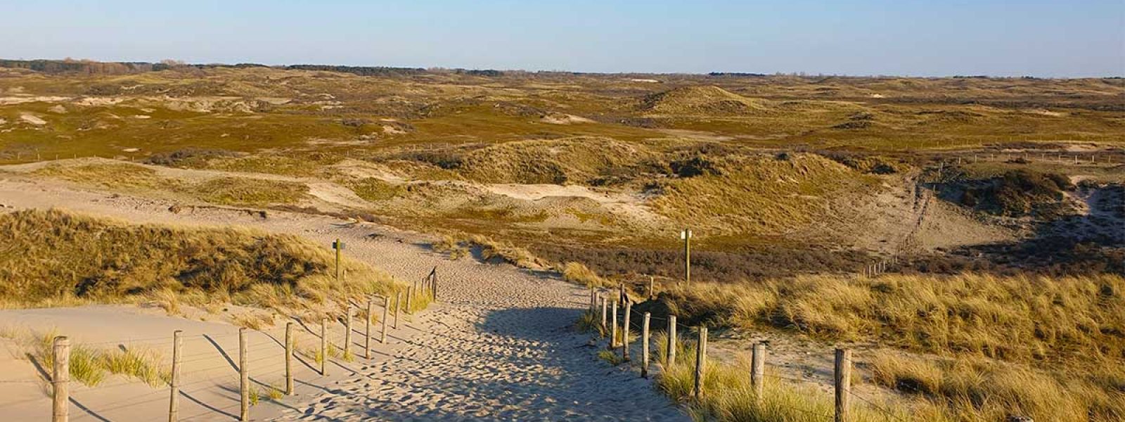 Mooie natuur bij de duinen