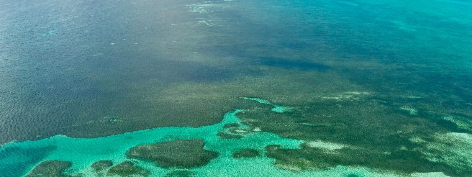 Bahama's