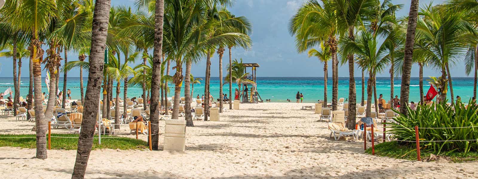 Tropisch strand voor een verre reis