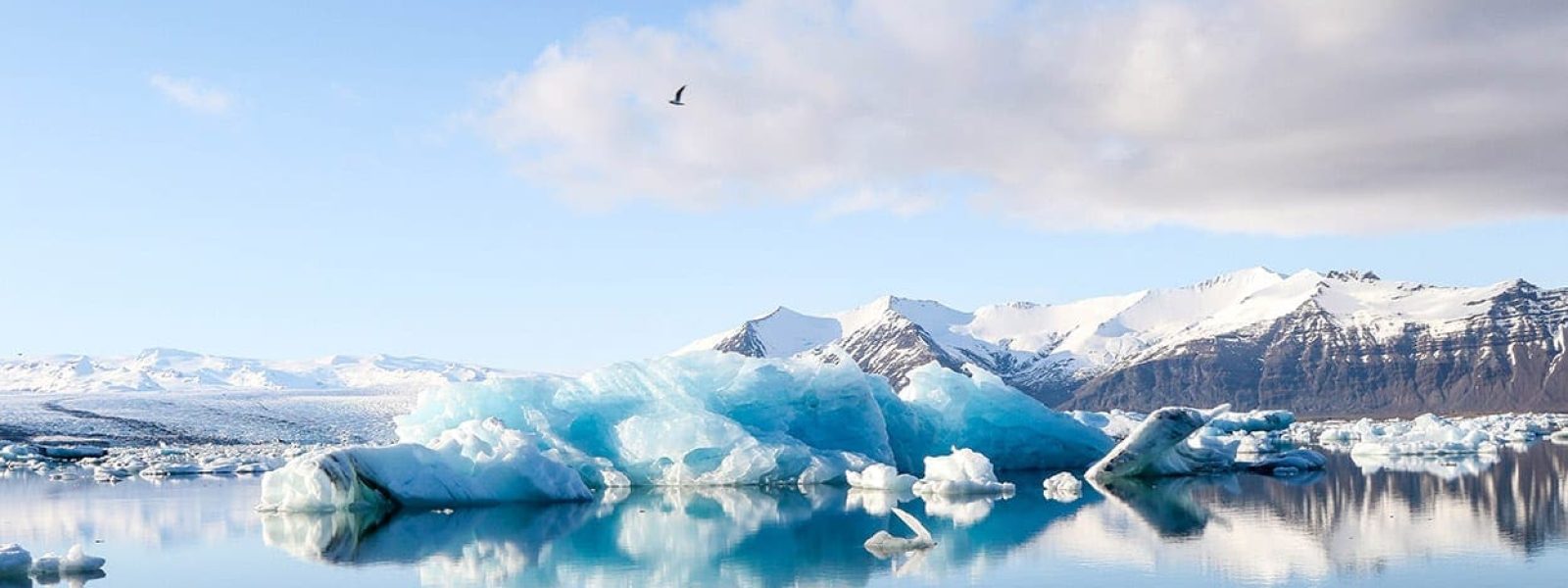 natuur in ijsland
