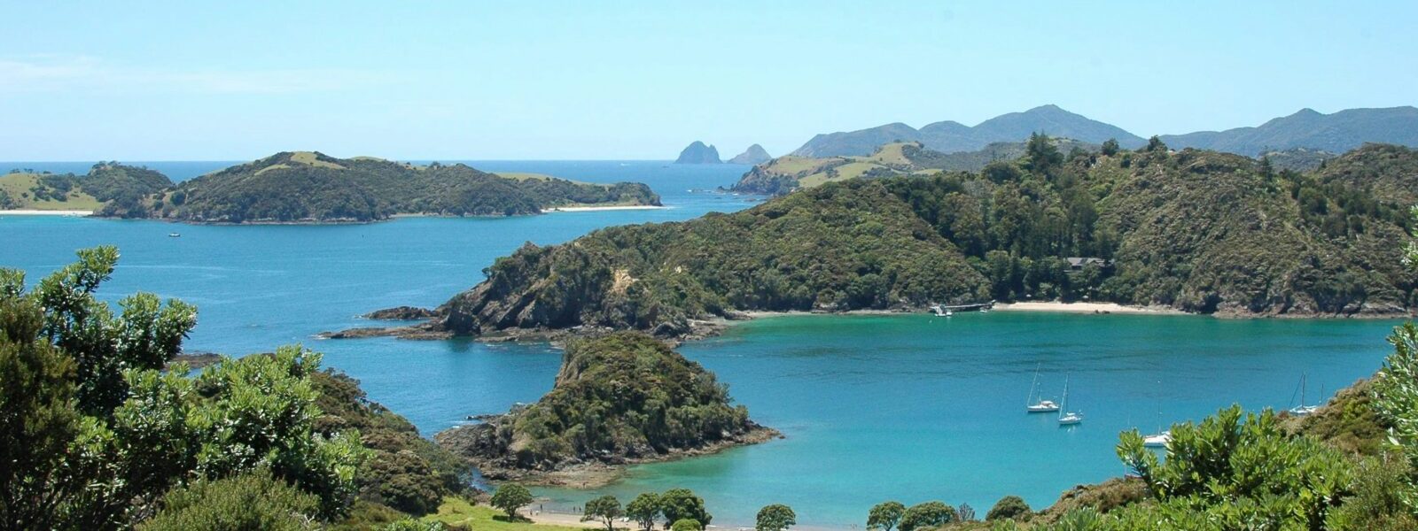 The bay of islands
