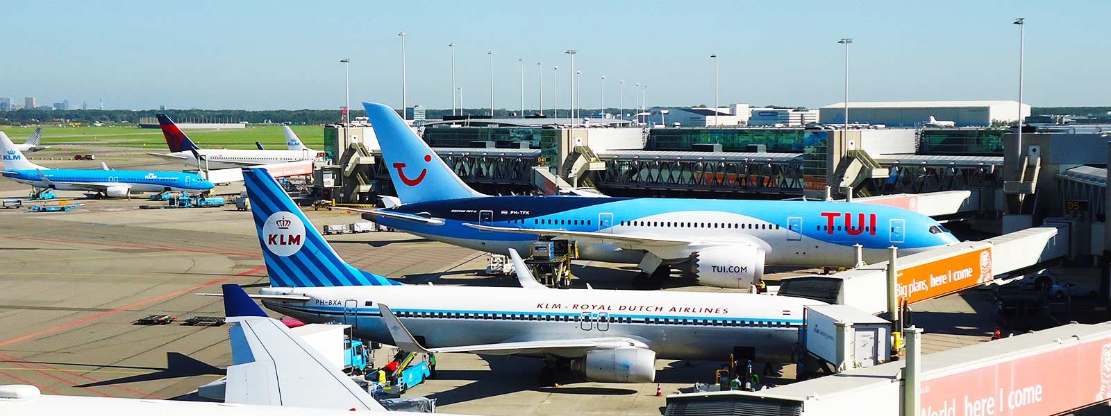 Vliegtuigen aan de pier op Schiphol