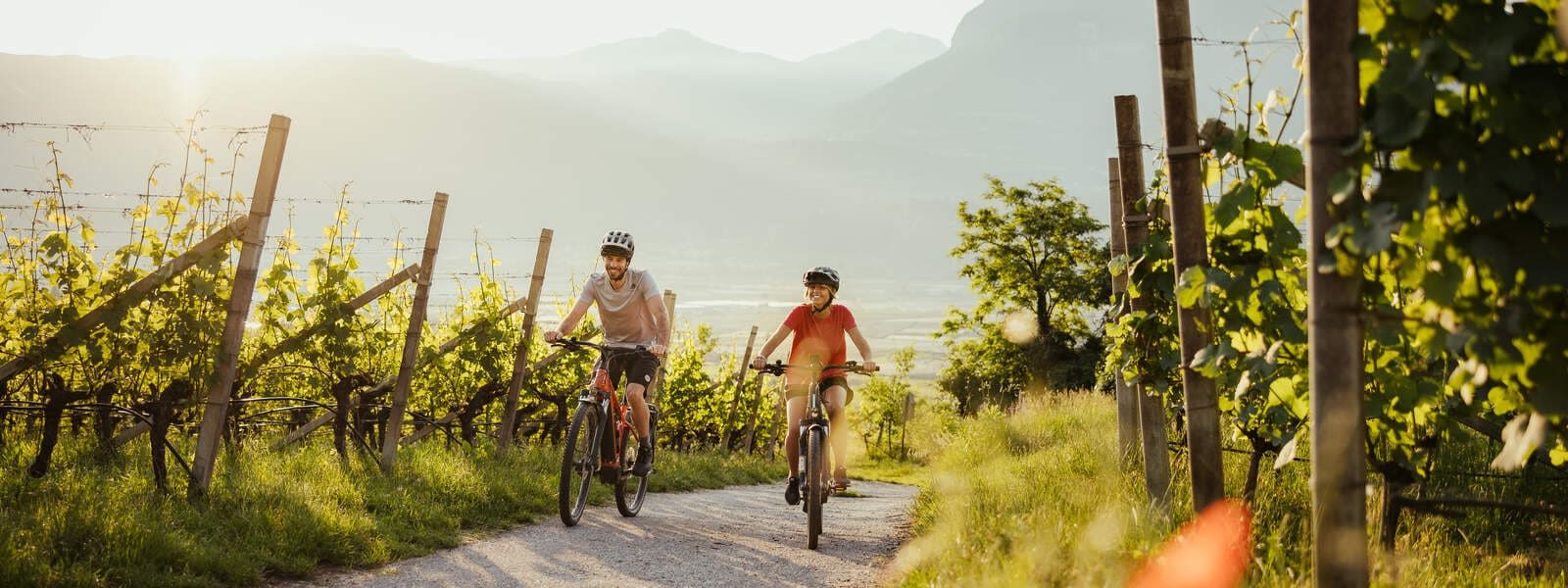 Wine Road(c)IDM S�dtirol_AlexMoling Fietsen in Zuid-Tirol