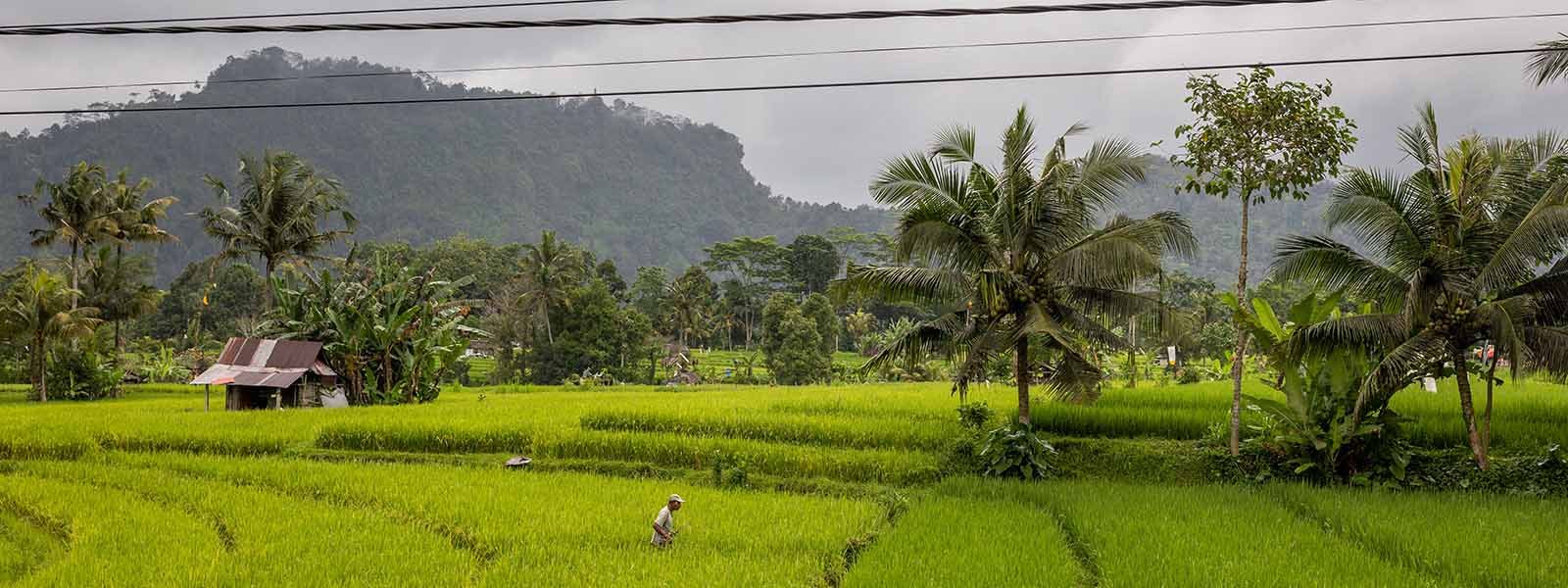Duurzamer Bali