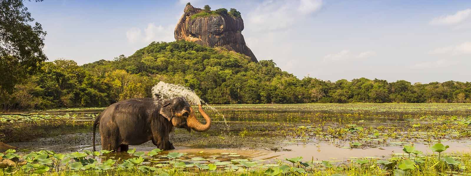 Reizen naar Sri Lanka