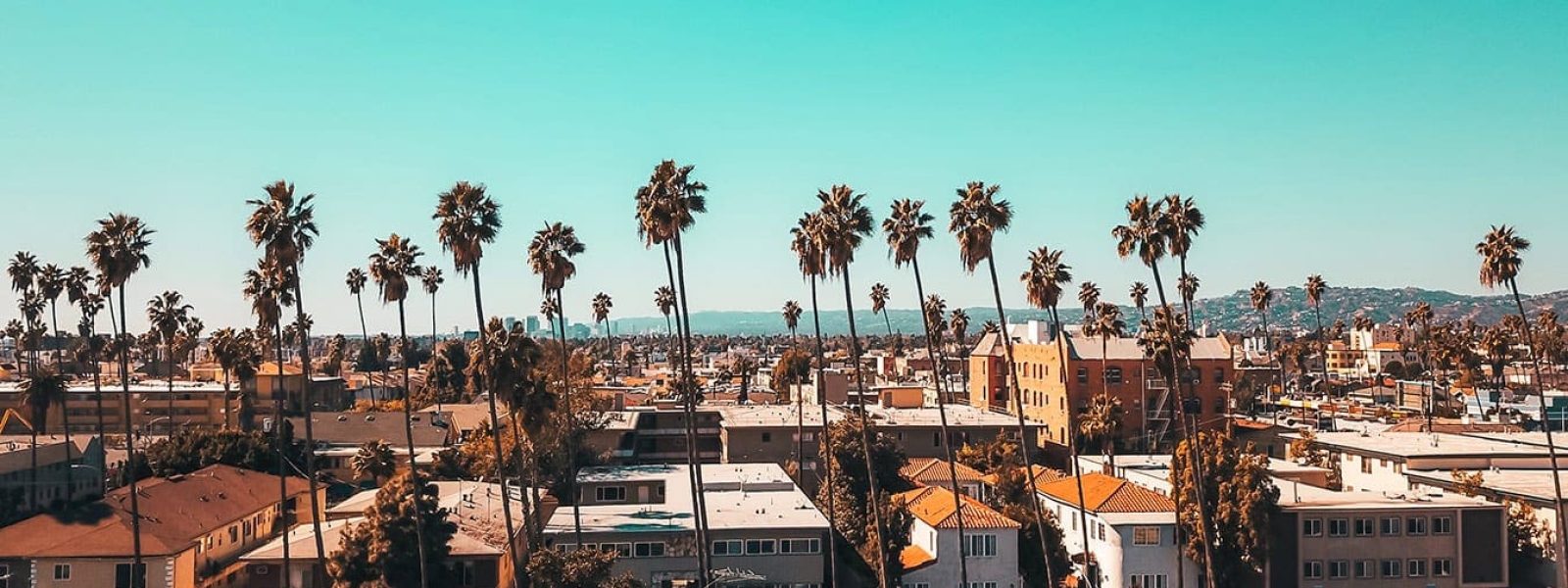 rooftopbars in los angeles