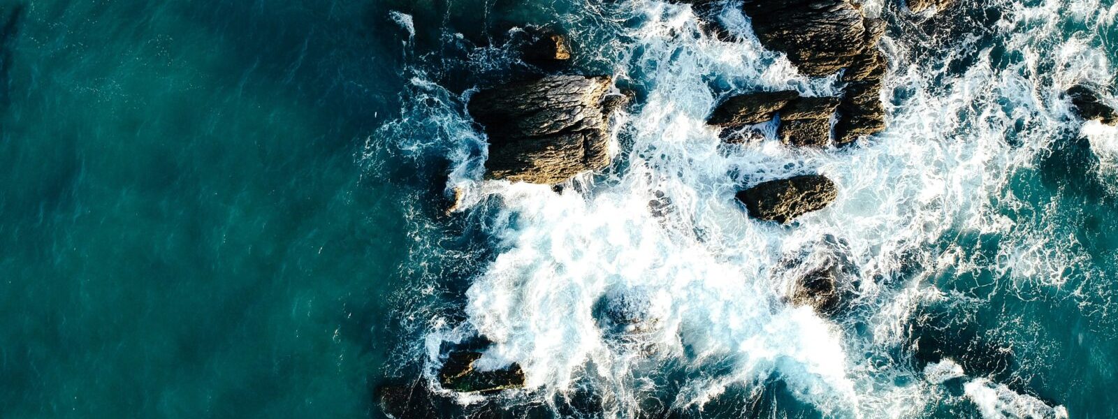 sencer-b-yilmaz-xoo_zVzSJq4-unsplash