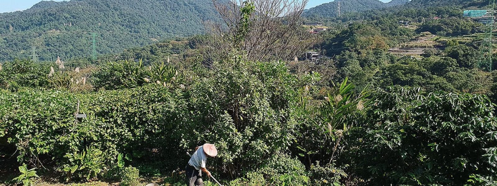 man aan het werk in taiwan