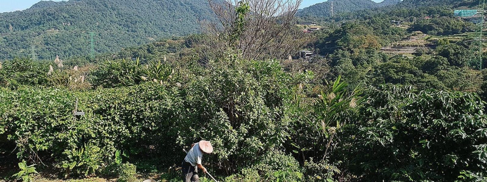 man aan het werk in taiwan