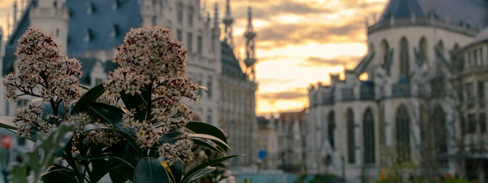 Foto: Unsplash