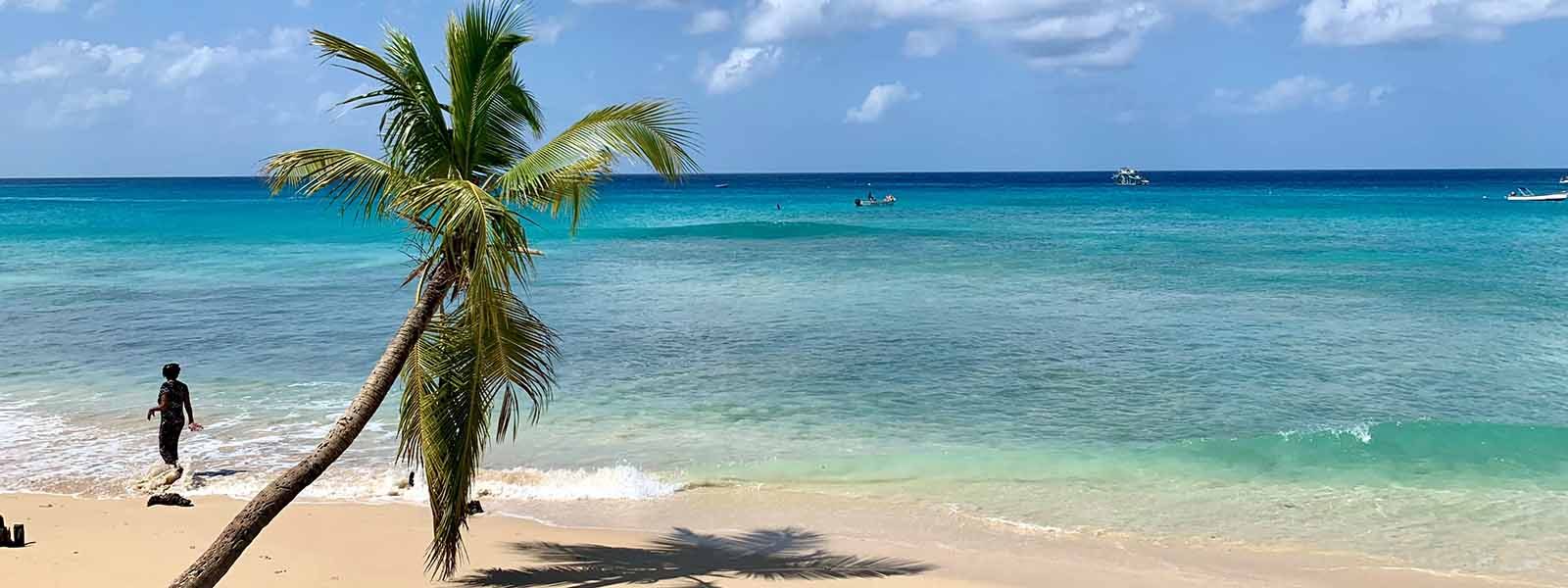 vakantie naar barbados