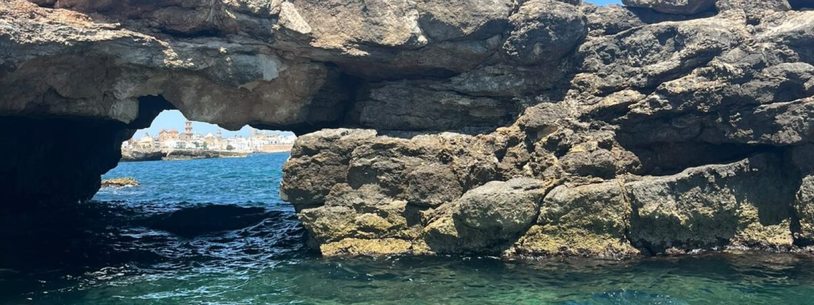 Zee Monopoli